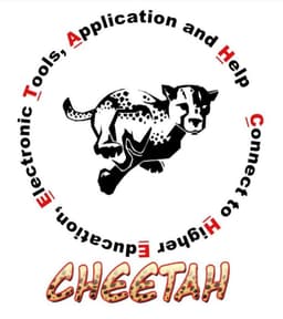 CHEETAH® Toys & More, LLC